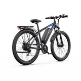 DUOTTS C29L Electric Bike 2x batteries