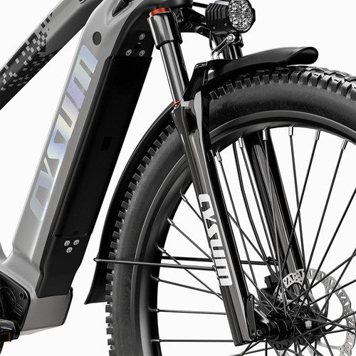 Cysum Speedy Electric Bike, 500W Motor, 48V 14AH
