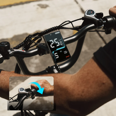 FAFREES F20 Rover Electric Bike 250W