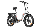 FAFREES F20 Electric Bike