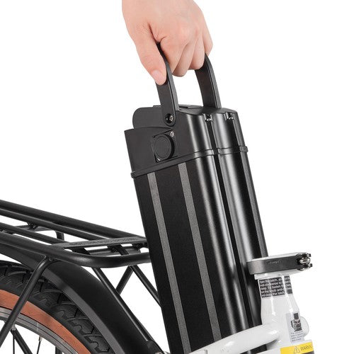 DYU C6 Pro Electric Bike, 250W Motor, 36V 15.6Ah