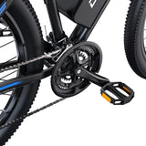 DUOTTS C29L Electric Bike 2x batteries