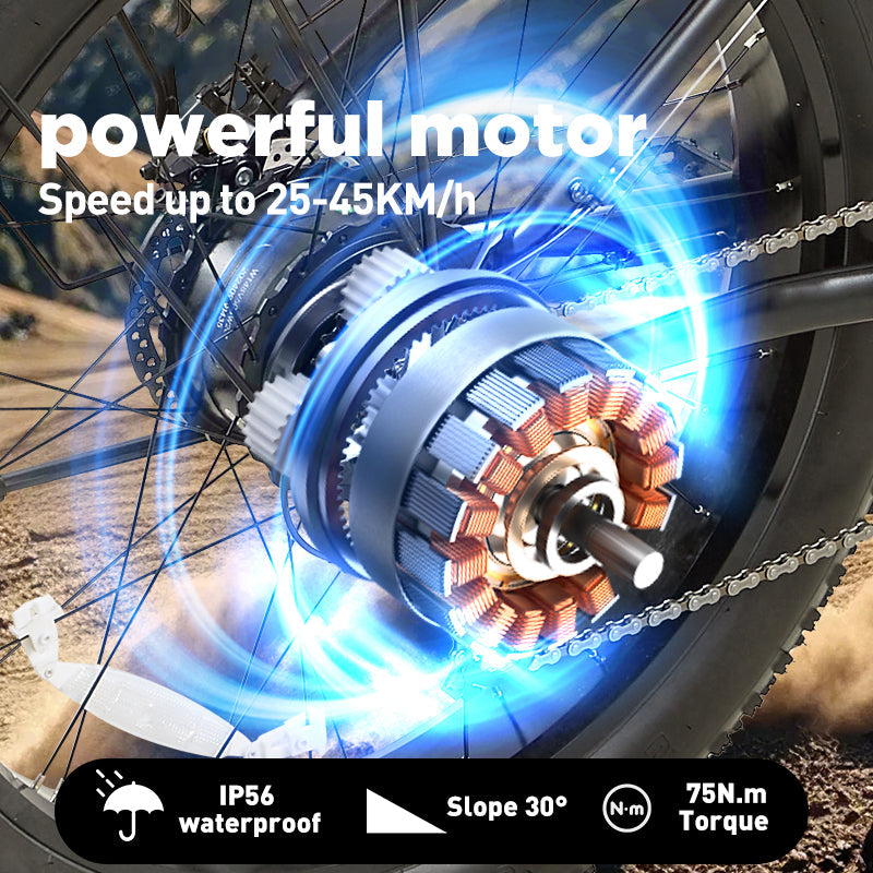 Burchda RX02 Electric Bike 1000W