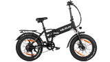 VARUN S20-1 Electric Bike