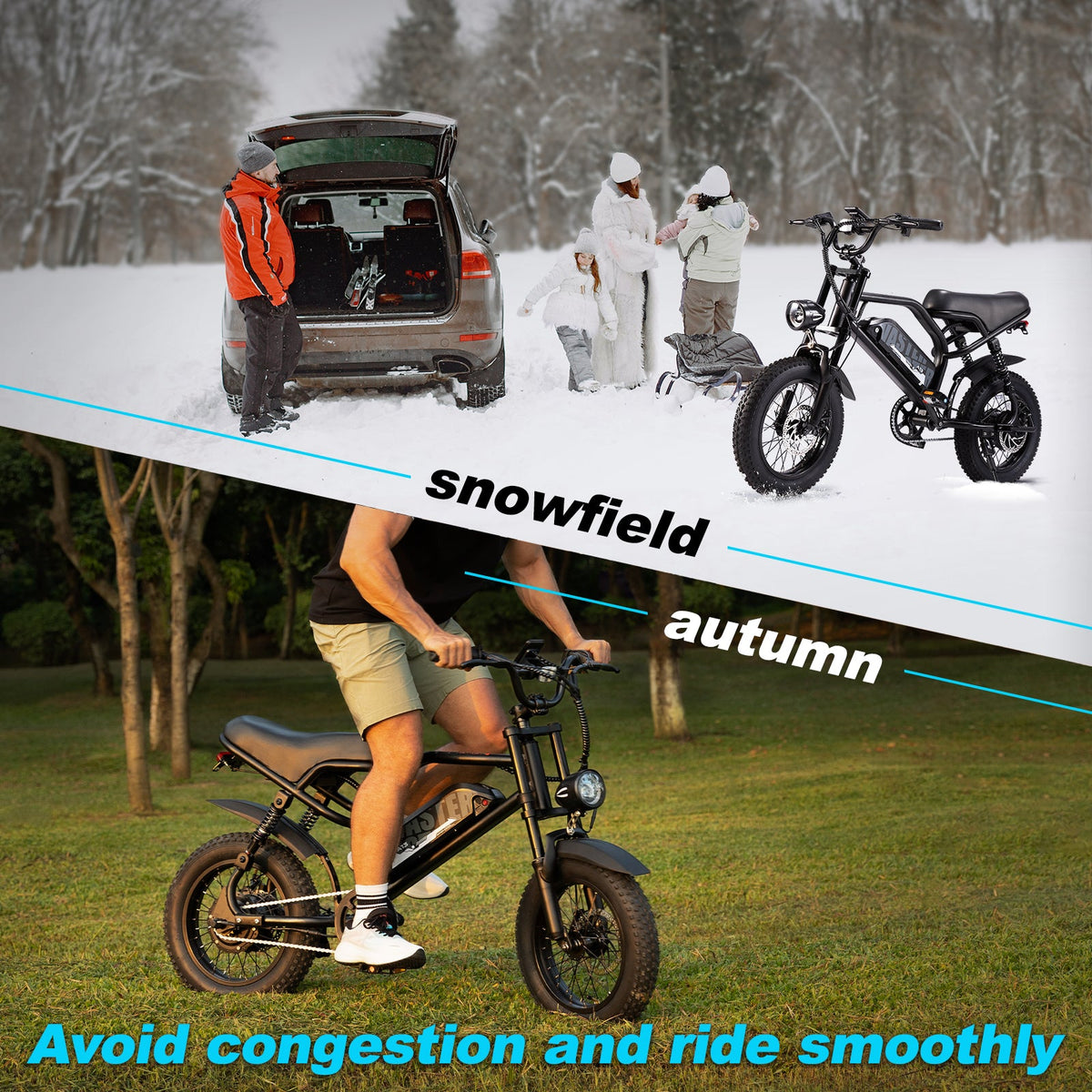 AVDL A13 Electric Bike 250W
