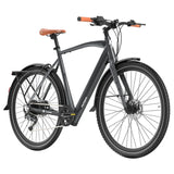 Fafrees F700M Electric Bike 100km