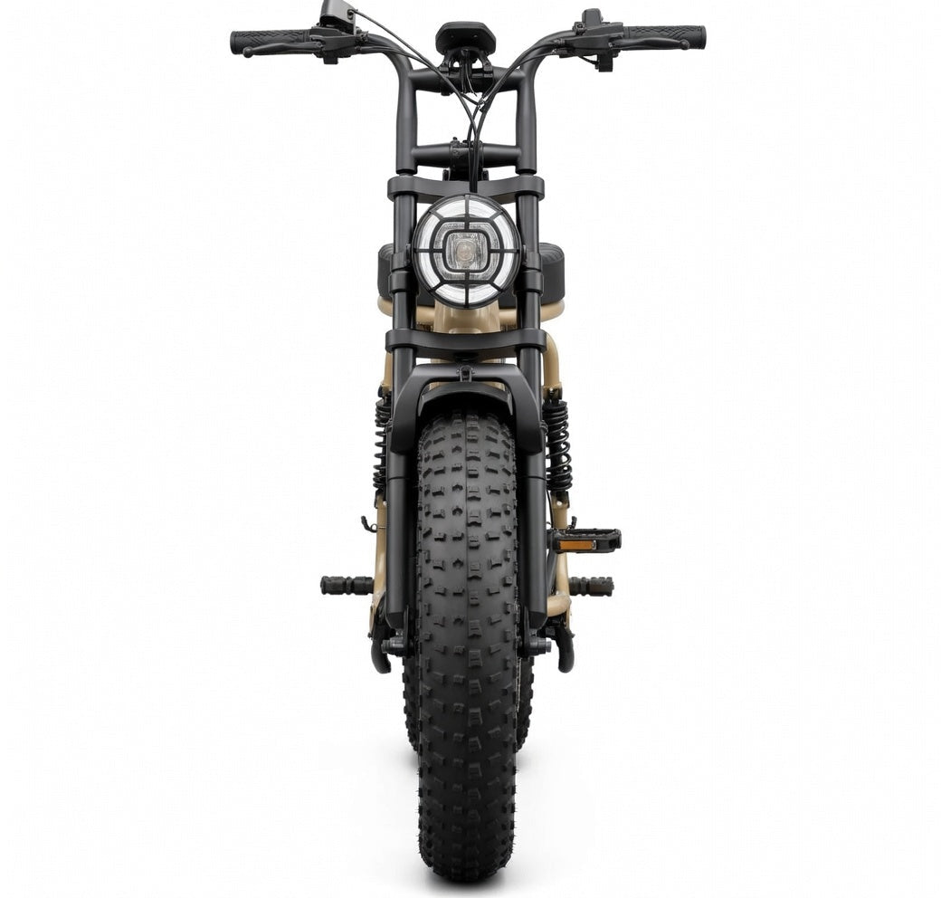 SAIBAIKE R7 Electric Bike 750W
