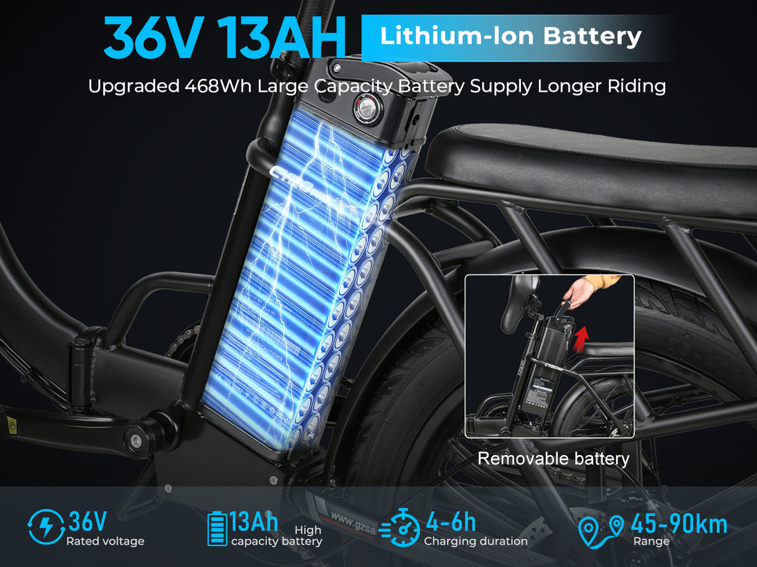 SAMEBIKE CY20 Pro Electric Bike