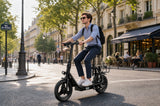 APEFOX C14 Electric Scooter 500W