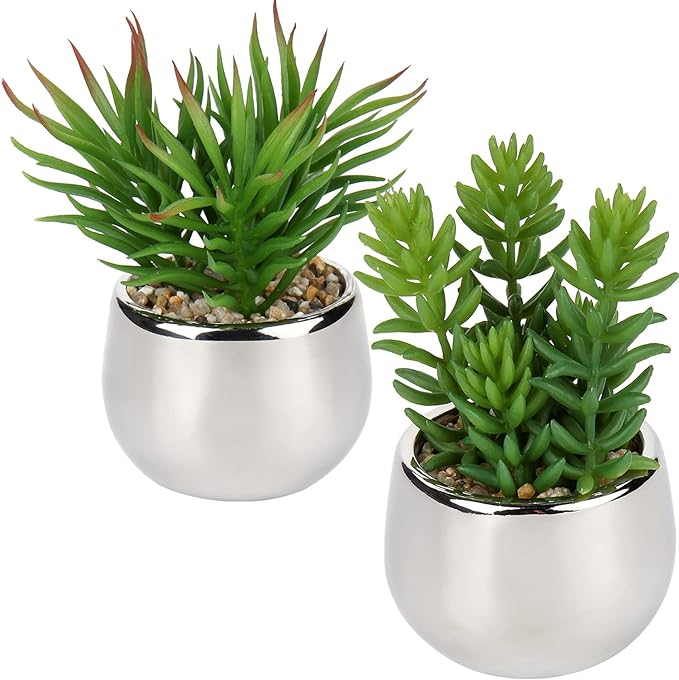 Silver Pot Decorative Plant