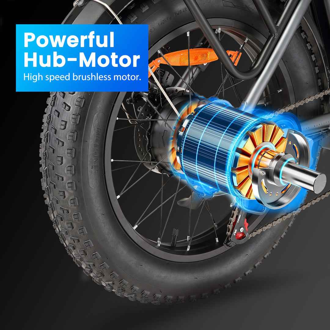 Sinohon B20 Folding Electric Bike