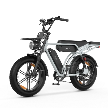 PIXAR® M9 Retro Electric Bike 2× 48 V17.5Ah