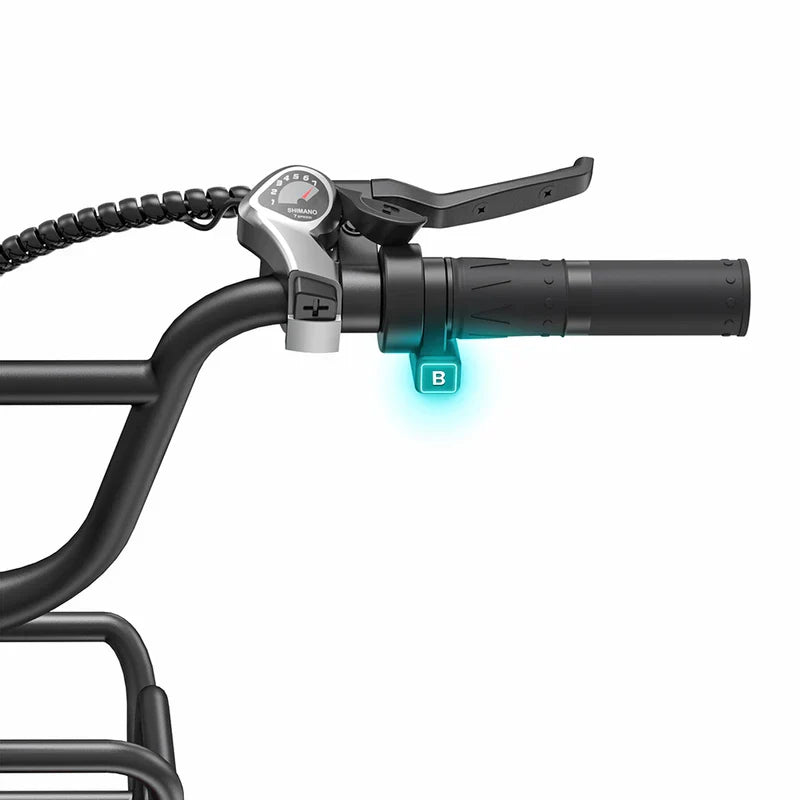 ENGWE L20 Boost
250W 126 km Power-boost Torque Sensor Step-Thru Electric bike