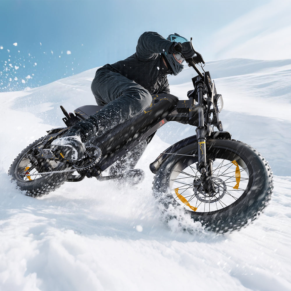 VARUN X-PLORER RAPTOR electric bike 48V 20.8A