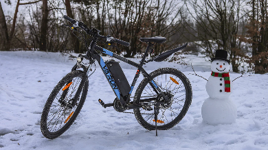 VARUN M27-1 Electric Bike 250W