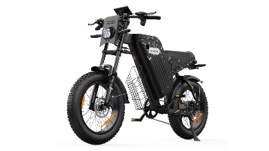 VARUN X-PLORER RAPTOR electric bike 48V 20.8A