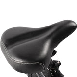 KAISDA K201 3.0 Electric Bike 36V/20.8Ah