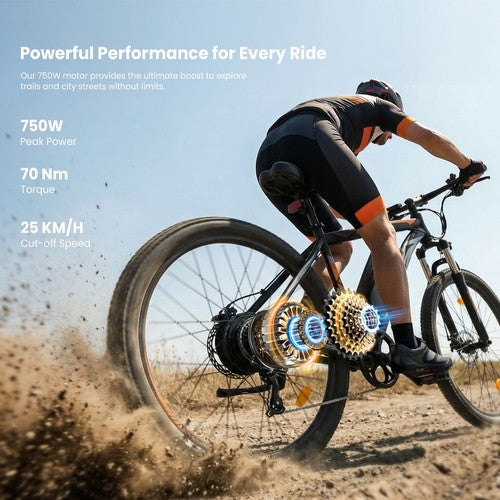 Touroll U2 Pro Electric Bike, 750W Peak Motor, 48V 15Ah