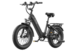 FAFREES F20 Rover Electric Bike 250W