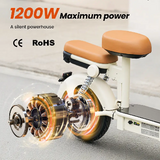 iScooter Y16 Electric Scooter 1200W