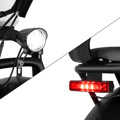 Rattan LF Pro Electric Bike 250W