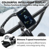 Hidoes B9 Electric Bike, 750W Motor, 48V 18.2Ah+15.6Ah Dual Battery
