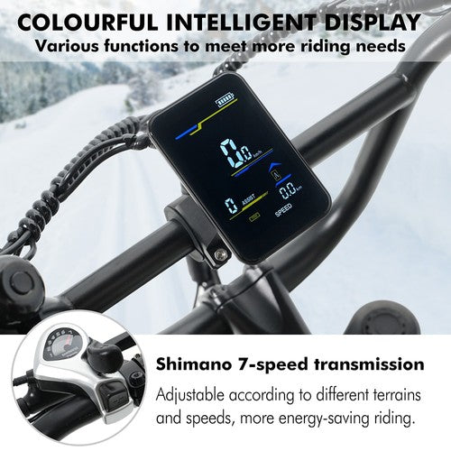 Hidoes B9 Electric Bike, 750W Motor, 48V 18.2Ah+15.6Ah Dual Battery