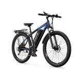 DUOTTS C29L Electric Bike 2x batteries