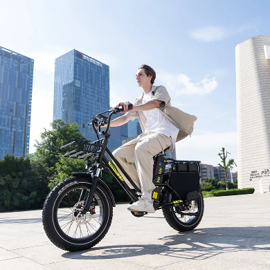 KOOLUX X8 FAT TYRE CARGO Electric Bike 64Ah