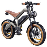 ZONVEER M20 Electric Bike 48V 18.2Ah