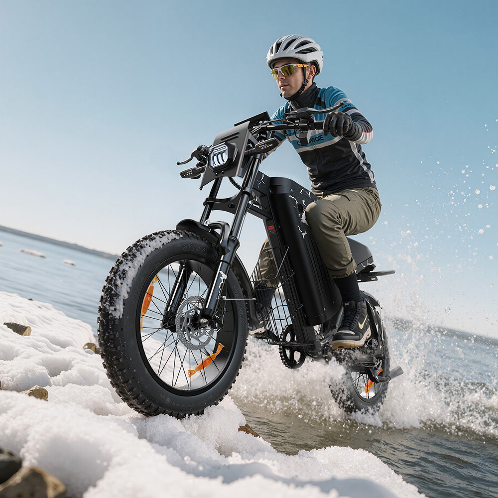 VARUN X-PLORER RAPTOR electric bike 48V 20.8A