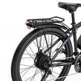 DUOTTS C29L Electric Bike 2x batteries