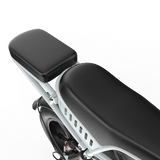 PIXAR® M9 Retro Electric Bike 2× 48 V17.5Ah