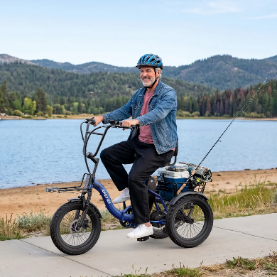APEFOX RH30 Folding Electric Trike Bike with Rear Basket