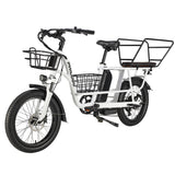 PHILODO Traveller Family & Cargo Electric Bike