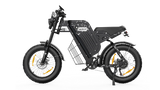 VARUN X-PLORER RAPTOR electric bike 48V 20.8A