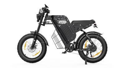VARUN X-PLORER RAPTOR electric bike 48V 20.8A