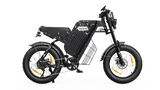 VARUN X-PLORER RAPTOR electric bike 48V 20.8A