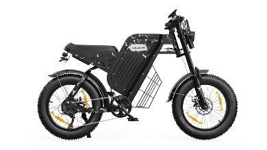 VARUN X-PLORER RAPTOR electric bike 48V 20.8A