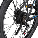 DUOTTS C29L Electric Bike 2x batteries