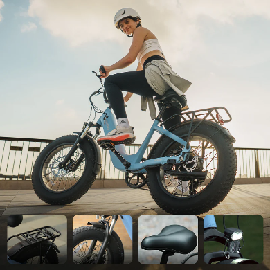 FAFREES F20 Rover Electric Bike 250W