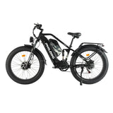 PHILODO Jumbo Dual Motor Dual Battery Full Suspension Electric Bike