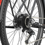 Fafrees F700M Electric Bike 100km