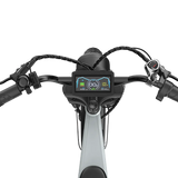 PIXAR® M9 Retro Electric Bike 2× 48 V17.5Ah