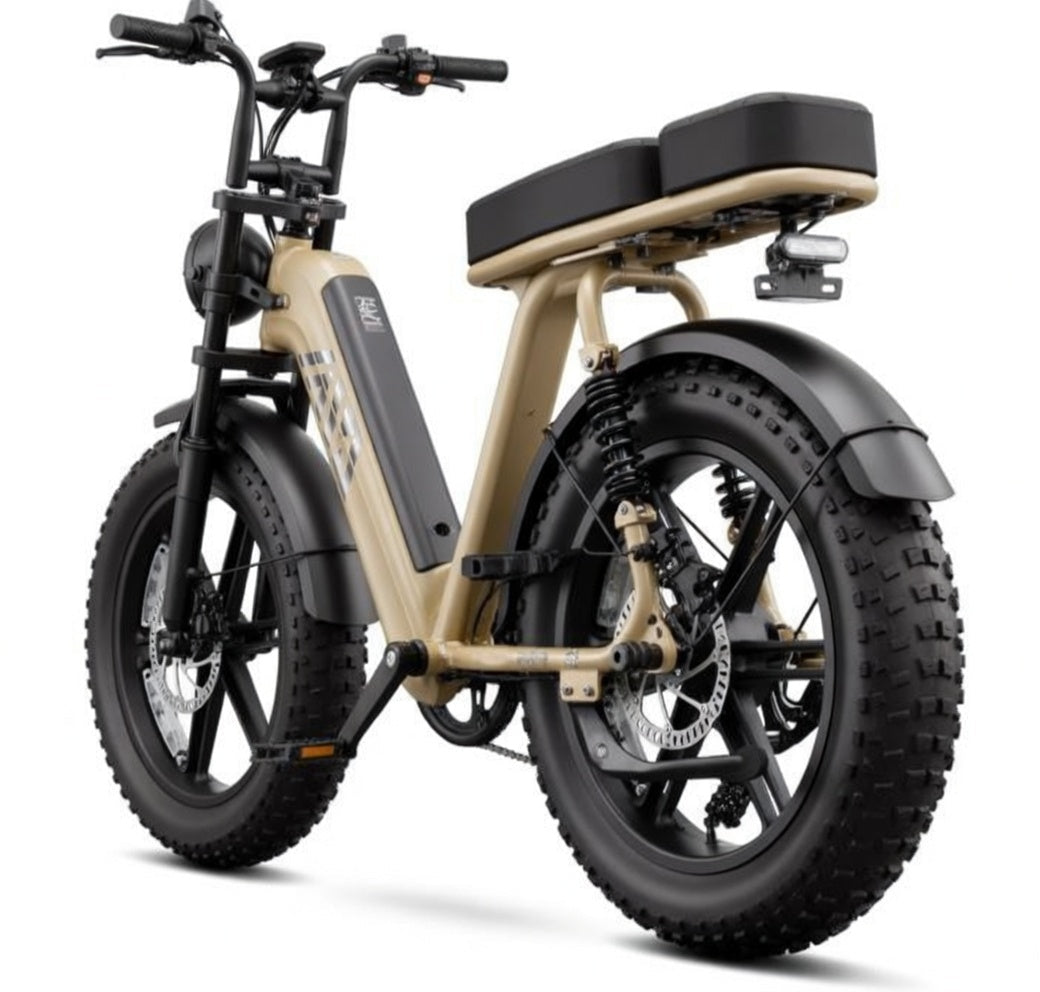 SAIBAIKE R7 Electric Bike 750W