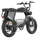 Hidoes B9 Electric Bike, 750W Motor, 48V 18.2Ah+15.6Ah Dual Battery
