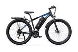 DUOTTS C29 Pro Electric Bike 750W 15Ah