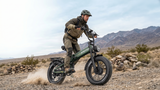 Apefox RH20 Electric Bike  500W*2