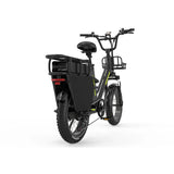 KOOLUX X8 FAT TYRE CARGO Electric Bike 64Ah