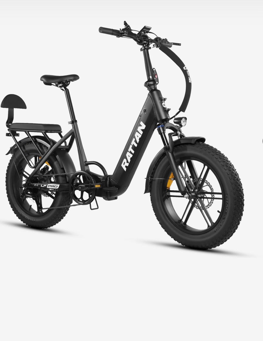 Rattan LF Pro Electric Bike 250W